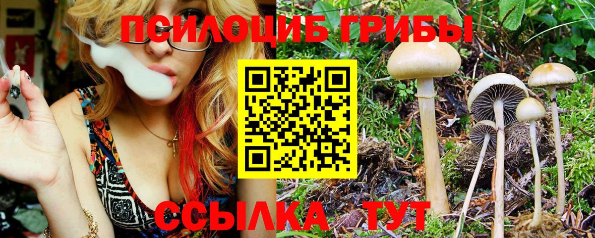 Нижневартовск  магазин продажи   Вход с VPN  Псилоцибиновые грибы прущие грибы 